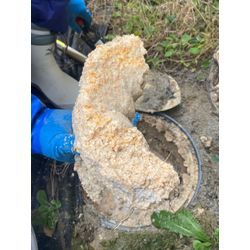 排水管洗浄の衝撃ビフォアアフター！の画像2