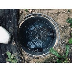 排水管洗浄の衝撃ビフォアアフター！の画像3