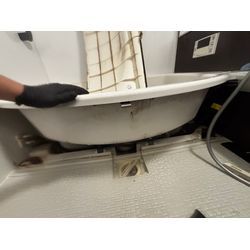 本日はトイレ→風呂の画像2