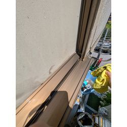 ムクドリの巣の清掃です。の画像3