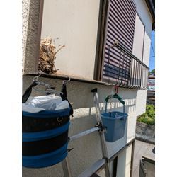 ムクドリの巣の清掃です。の画像1