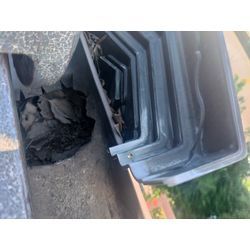 豊明市　雨樋詰まり抜きの画像1