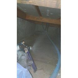 シロアリ予防消毒の画像3