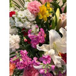 特別な節目の思い出にの画像1