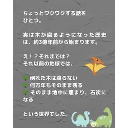 腐朽菌の発生とは！？の画像2