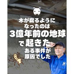 腐朽菌の発生とは！？の画像1