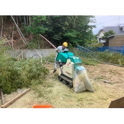 竹林伐採の画像2