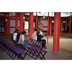 ◆祈祷中撮影　生田神社の画像1