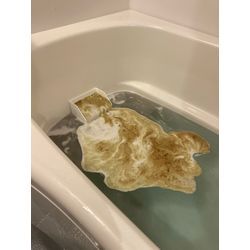 年末に近づき水回りクリーニングはお早めのご予約を！の画像1