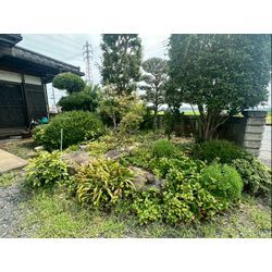 除草作業をさせて頂きました！【の画像1