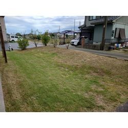 草刈、芝刈りの画像2