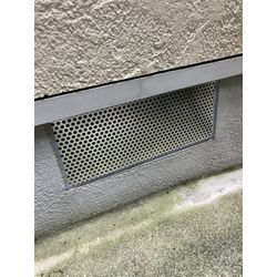 大阪府にてネズミ被害駆除防除対策を行いました。の画像3