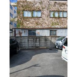 🌿建物を守る「蔦取り」はプロにお任せください！の画像2