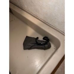 草加市　パナソニックドラム式洗濯機　U11エラー！の画像2