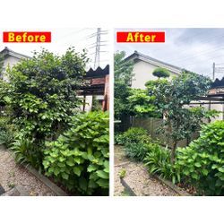 浦安市・習志野市エリア「剪定」部門 でくらしのマーケットで1位をいただくことができました！の画像3