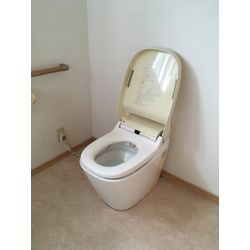 便器アラウーノからアラウーノ交換の画像2