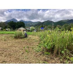 草刈りハンマーナイフ1800平米の画像2