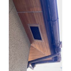 コウモリ　対策　福岡県の画像2