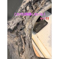 パナソニックNALX127Aの画像2