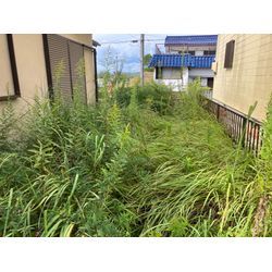 名張市　空家の草刈りの画像3