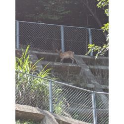 安佐南区からお引っ越しの画像1