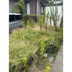 草刈り&草むしりの画像1