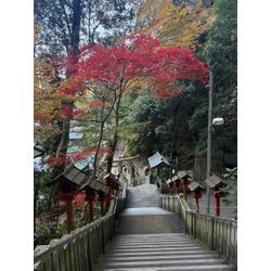 12月の予約状況の画像1