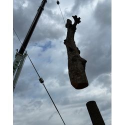 【川越市｜大型クレーン伐採・庭じまい事例】大きくなりすぎた木の不安を解消｜移植・駐車場管理・植栽のご依頼も対応の画像1