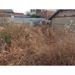 中高草刈の画像1