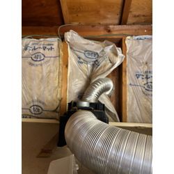 流山市ハクビシン駆除の画像1