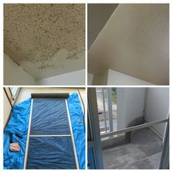 秋から冬にかけては掃除のチャンス！の画像1