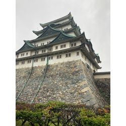 同行通訳　to Nagoyaの画像1