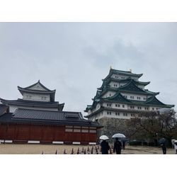 同行通訳　to Nagoyaの画像2