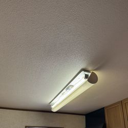 電球交換の画像1