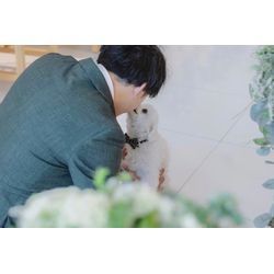 リングドッグ　愛犬も一緒に最高の時間の画像1