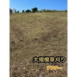 めっちゃ広かった。。。の画像2