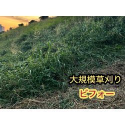 めっちゃ広かった。。。の画像1