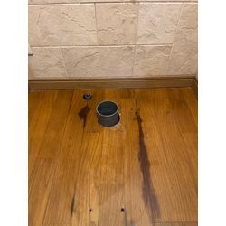 トイレ交換の画像2