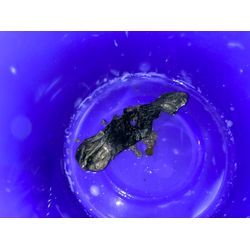 中野区でドラム式洗濯機の詰まり除去に行ってきました！の画像2