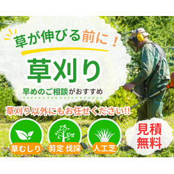 草刈りでお庭スッキリ✨の画像1