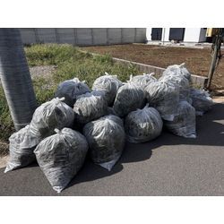 【小平市】建築予定地の除草作業　2025年10月18日の画像2