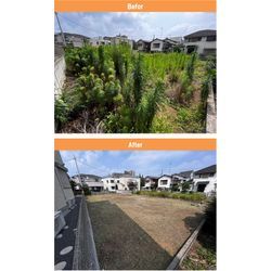 触るなキケン！「アメリカオニアザミ」【千葉市】400㎡の空き地除草作業の画像1