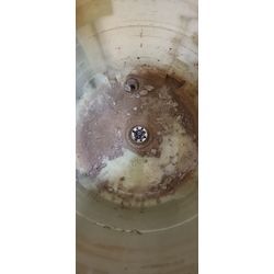 近場の業者の画像2