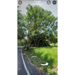 熊本市　南区　城南町　H様　敷地内の画像1