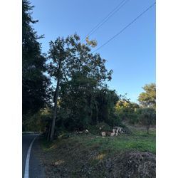 熊本市　南区　城南町　H様　敷地内の画像2