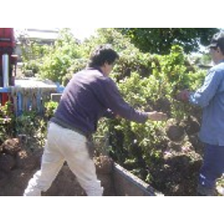 サツキツツジの搬入です。の画像2