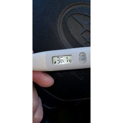 本日の検温11月25日の画像1