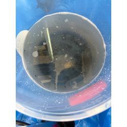 エアコンクリーニングご依頼ありがとうございます!の画像3