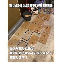 ネズミ駆除　福岡県の画像1