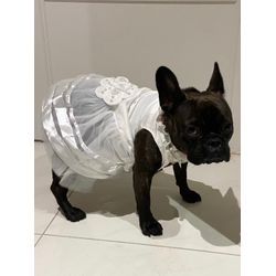 愛犬も一緒に作り上げる結婚式の画像2